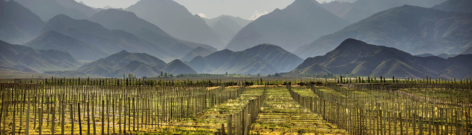 Alpasión Wines Lodge And Vineyards In Uco Valley Argentina - 