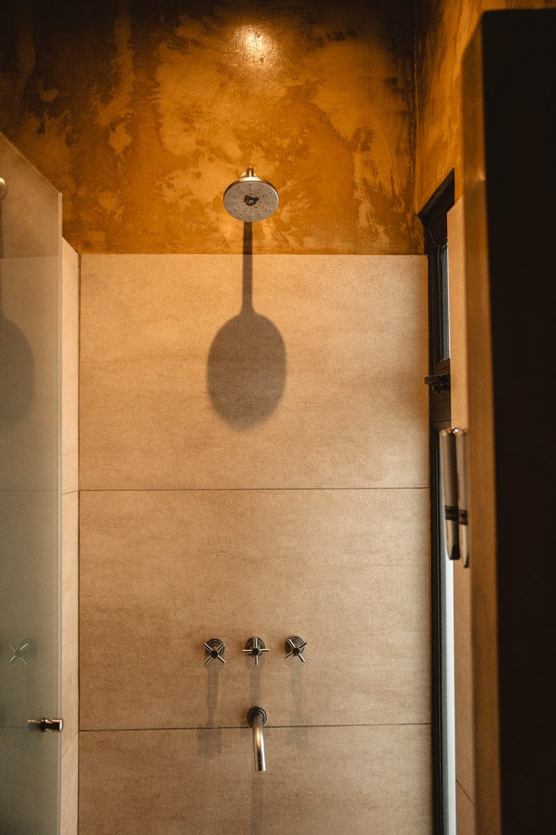 lodge-alpasion-cork-room-shower